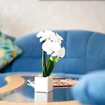 Apartment Marie